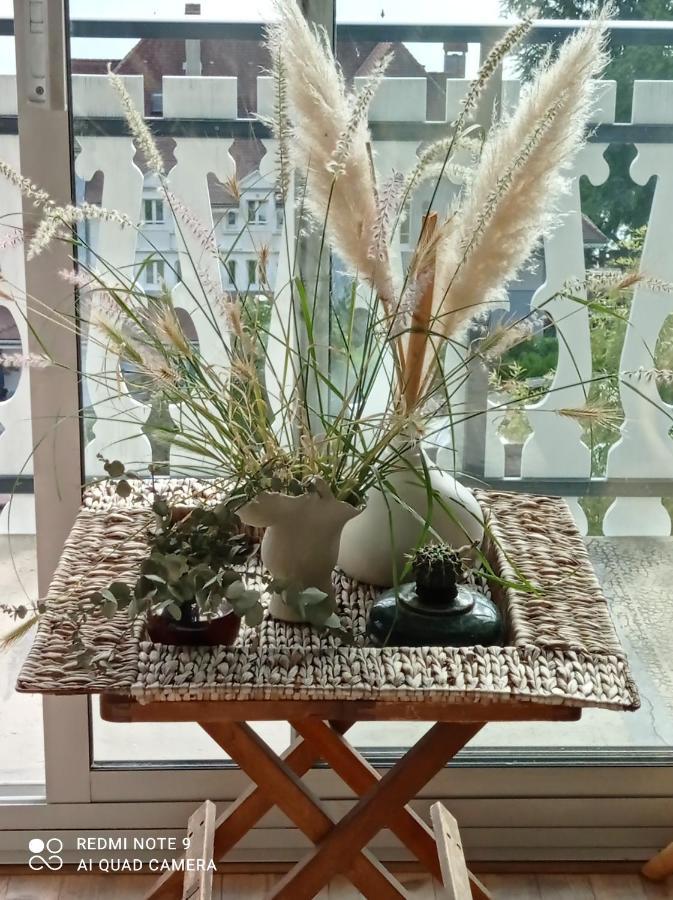 Villa Le Lac Cottage Au Bord Du Lac D'Annecy - Chambre Chez L'Habitant - Les Terrasses Du Lac ヴェリエ・デュ・ラック エクステリア 写真