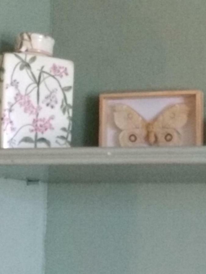 Villa Le Lac Cottage Au Bord Du Lac D'Annecy - Chambre Chez L'Habitant - Les Terrasses Du Lac ヴェリエ・デュ・ラック エクステリア 写真